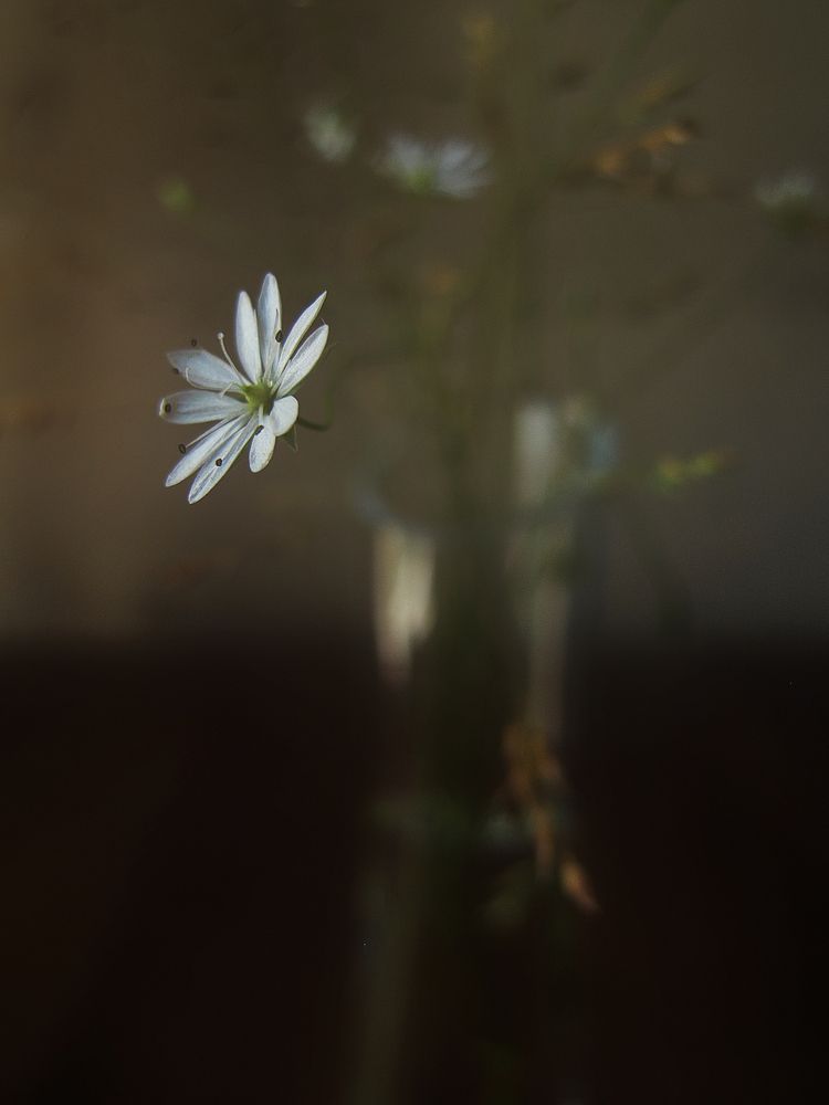 Фотография автора ТАТЬЯНА ЗАХАРОВА