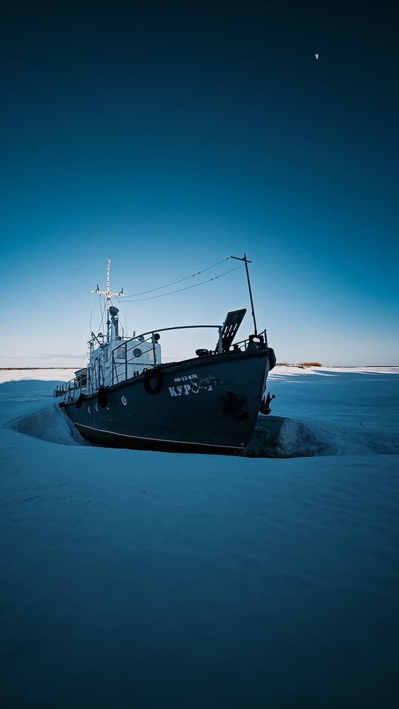 Фотография автора Дмитрий Шевченко