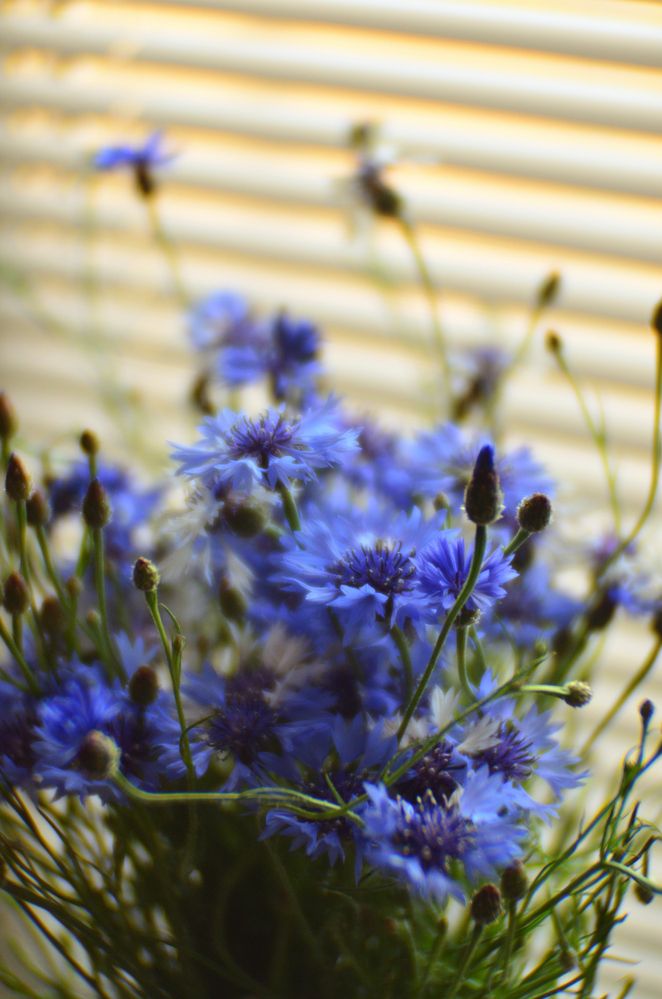 Фотография автора Никита Русецкий