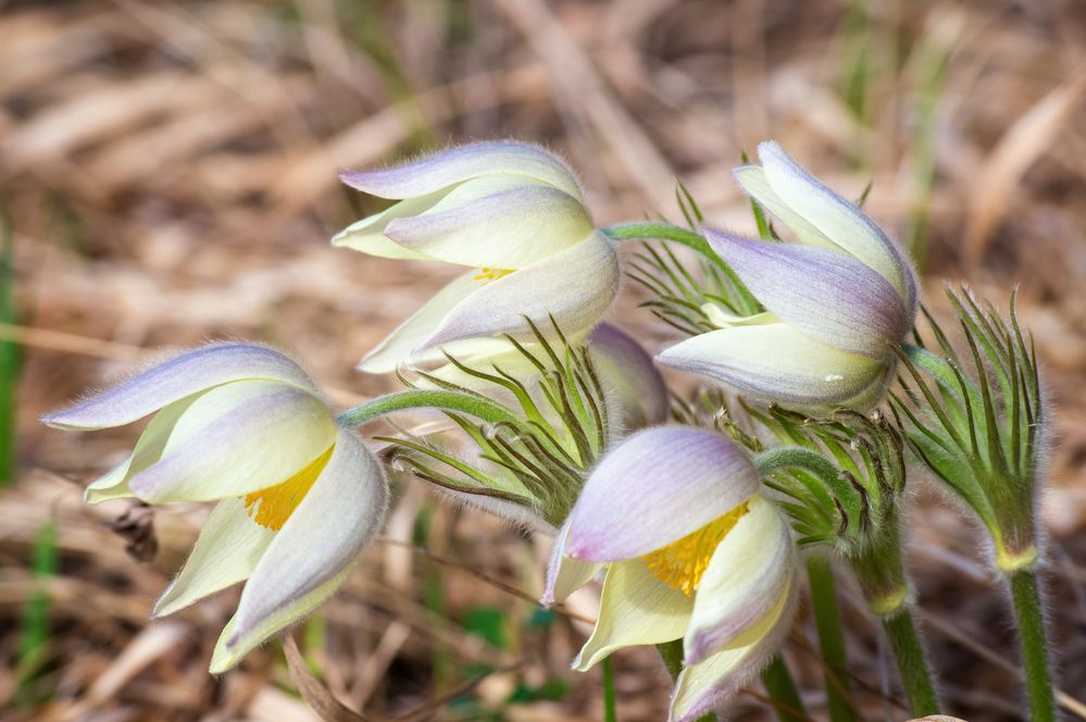 Фотография автора Александр Рудный