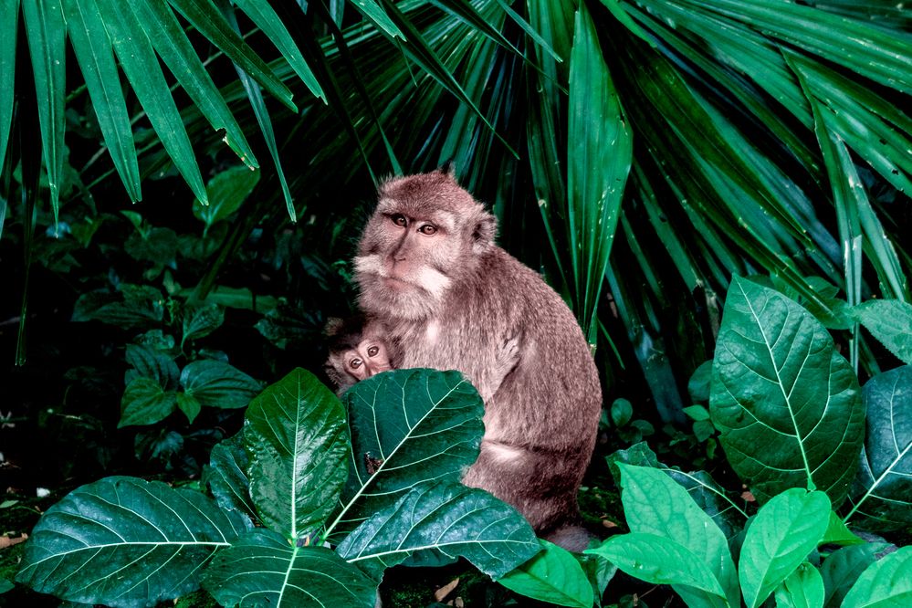 Photograph by Anna Amarova