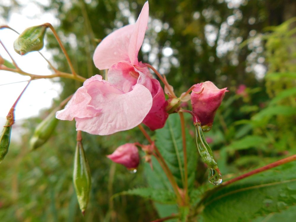 Photograph by Александр Прядко