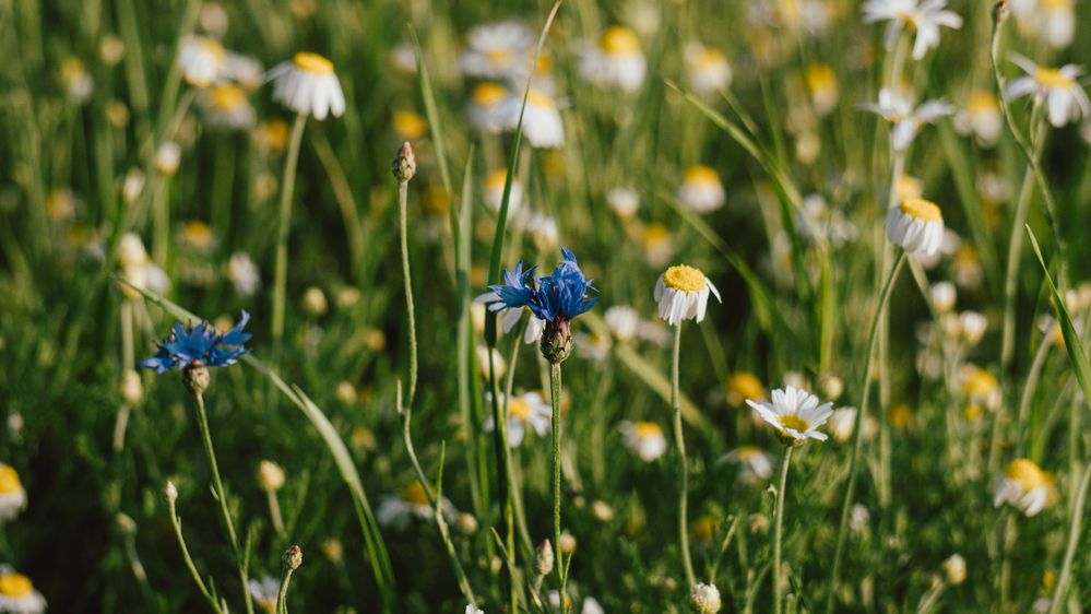 Photograph by Vadzim Darafei