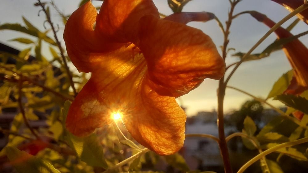 Photograph by Khushi Vashisth