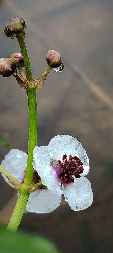 Photograph by Nаtaliia Zolotova