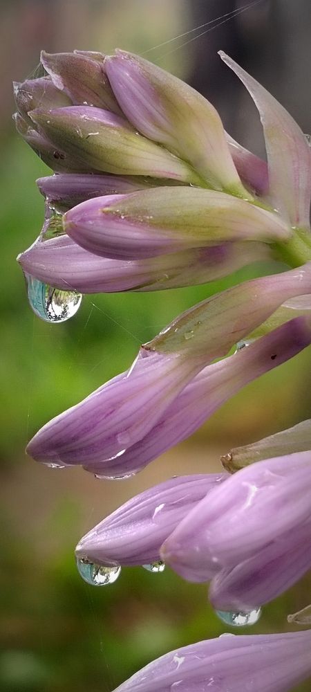 Photograph by Nаtaliia Zolotova