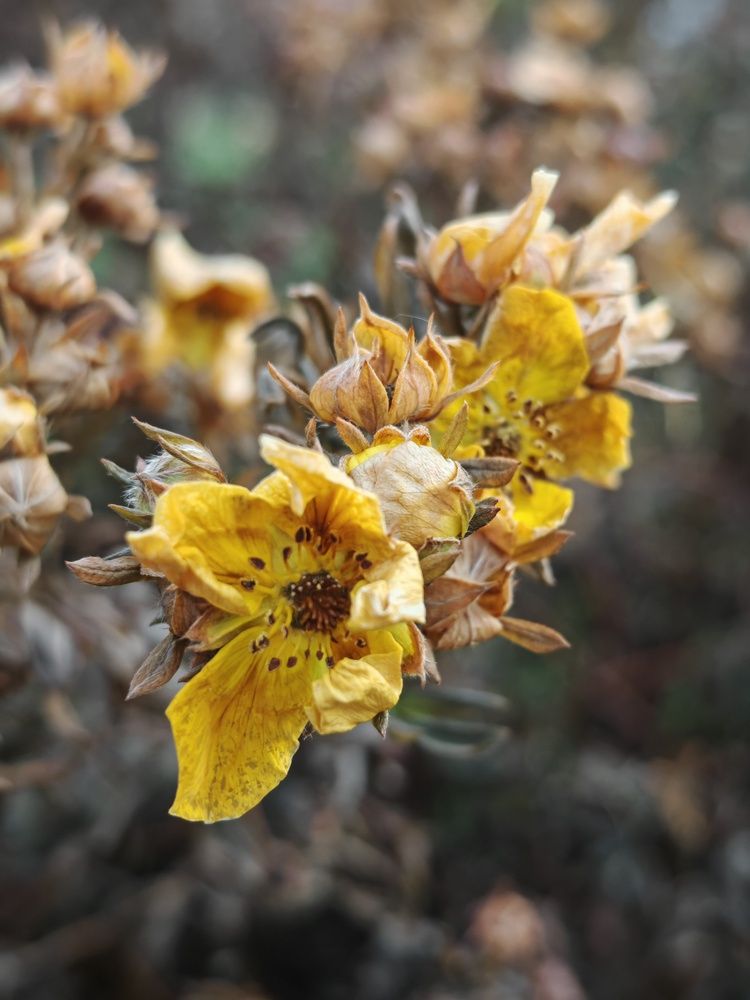 Photograph by Анна Васенкова