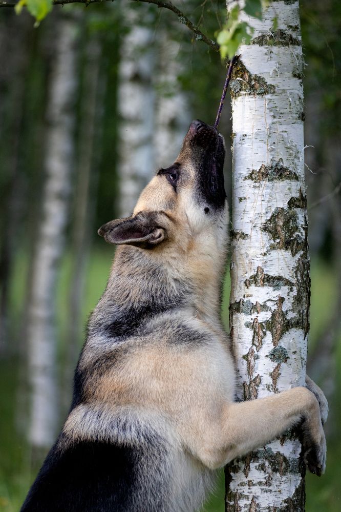 Photograph by Петракова Ольга