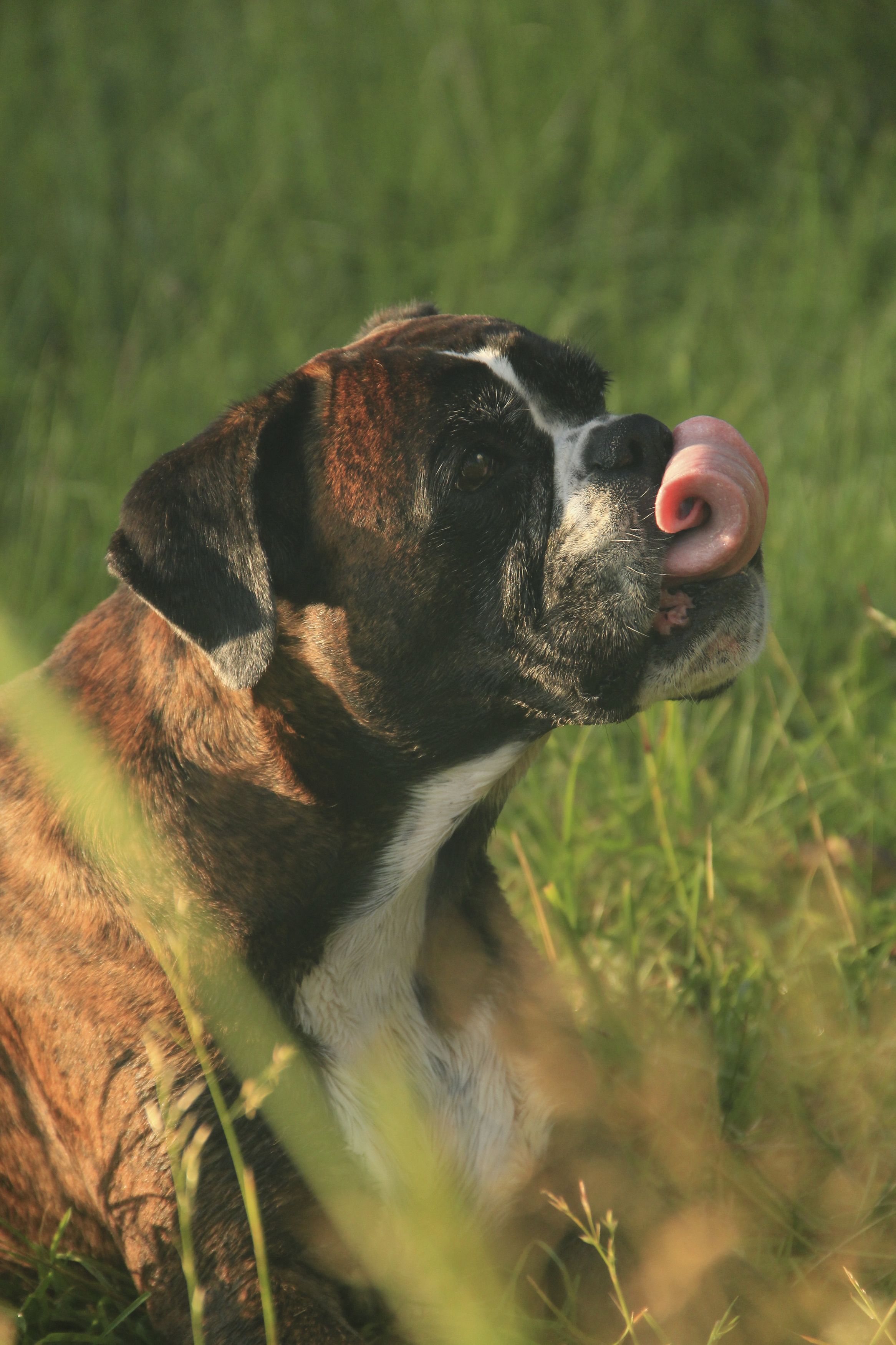 Photograph by Петракова Ольга