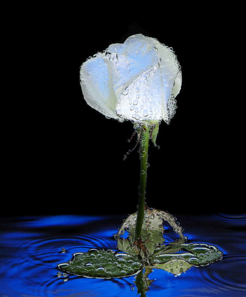 Photograph by Игорь Сахаров