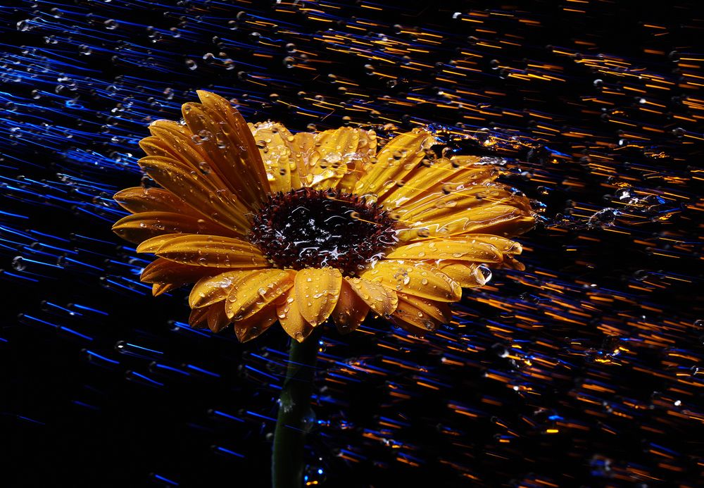 Photograph by Игорь Сахаров