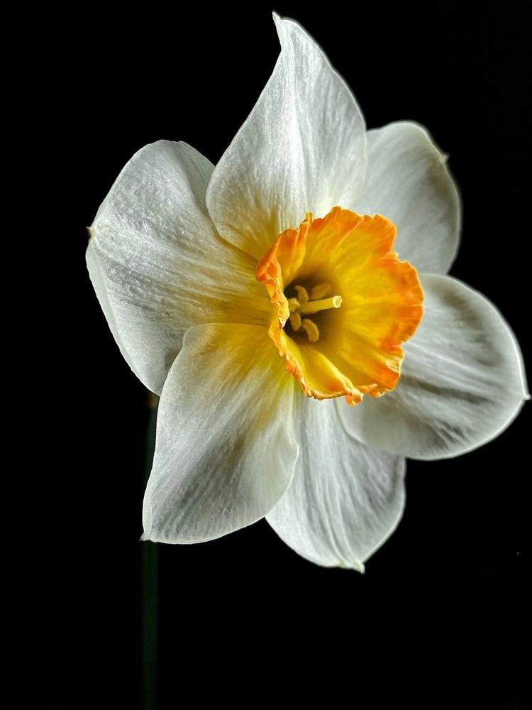 Фотография автора Ирина Левина