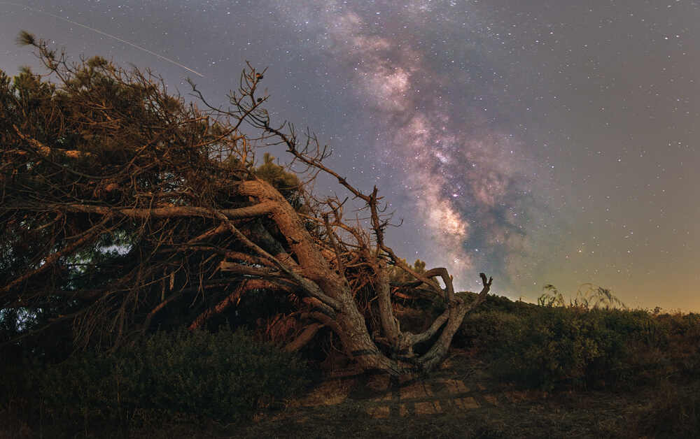 Photograph by Antonio Marquez Lanza