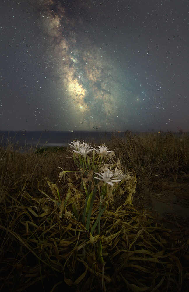 Photograph by Antonio Marquez Lanza