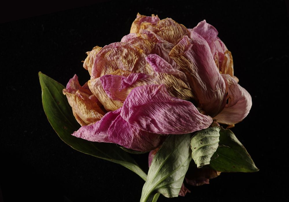 Photograph by Игорь Сахаров