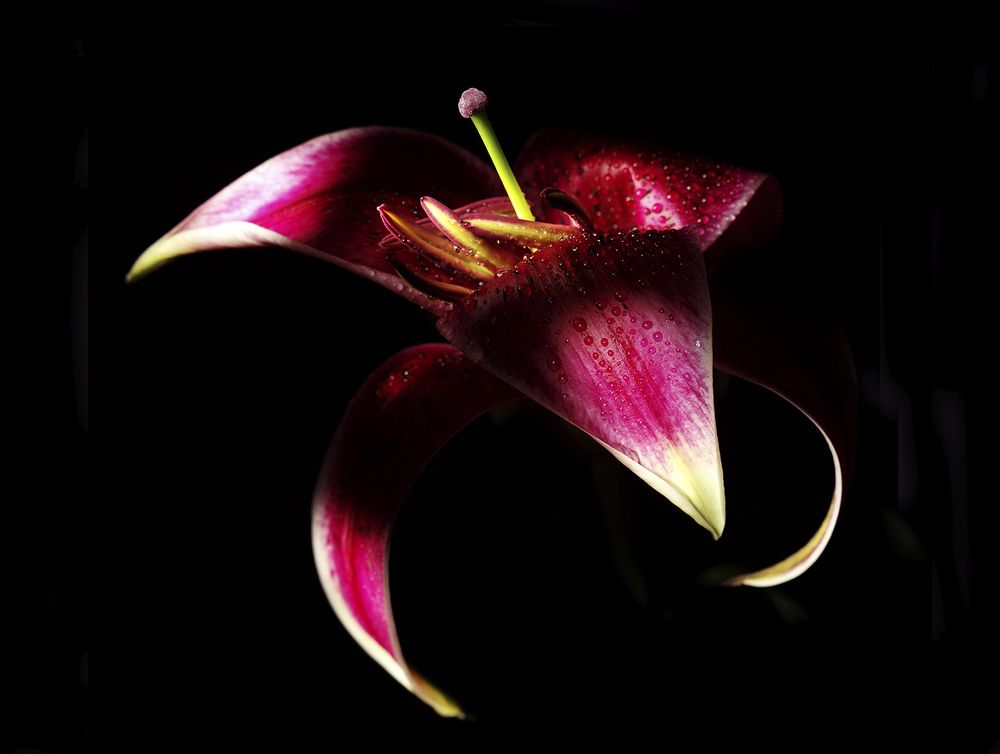 Photograph by Игорь Сахаров