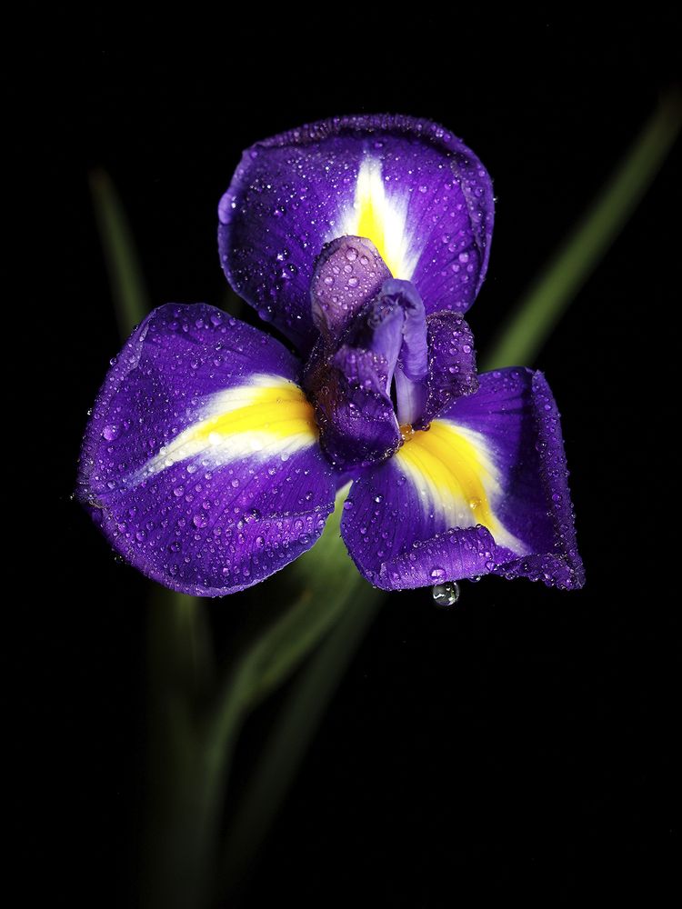 Photograph by Игорь Сахаров