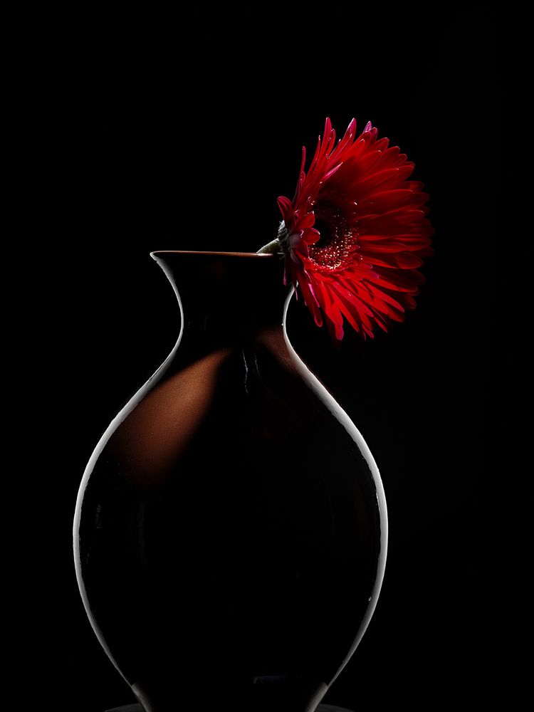 Photograph by Игорь Сахаров