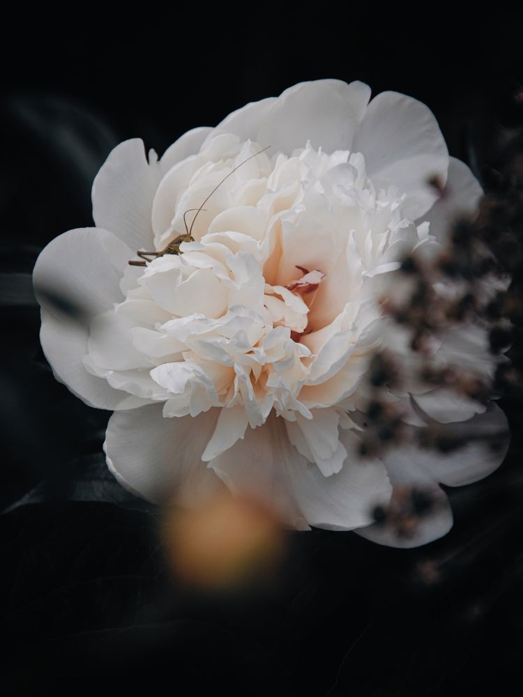 Photograph by Анна Любимова