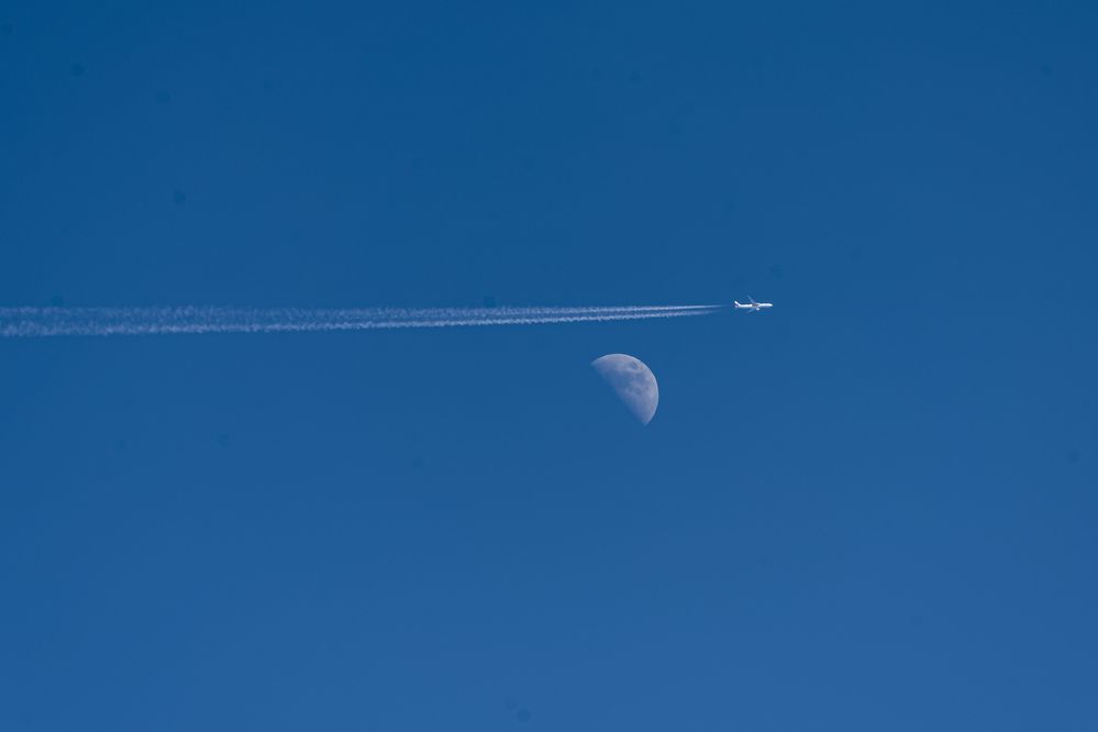 Photograph by Александр Шульга