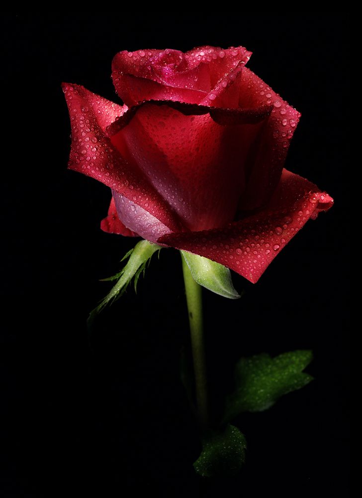 Photograph by Игорь Сахаров