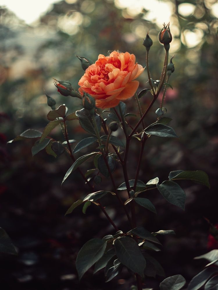 Photograph by Анна Любимова