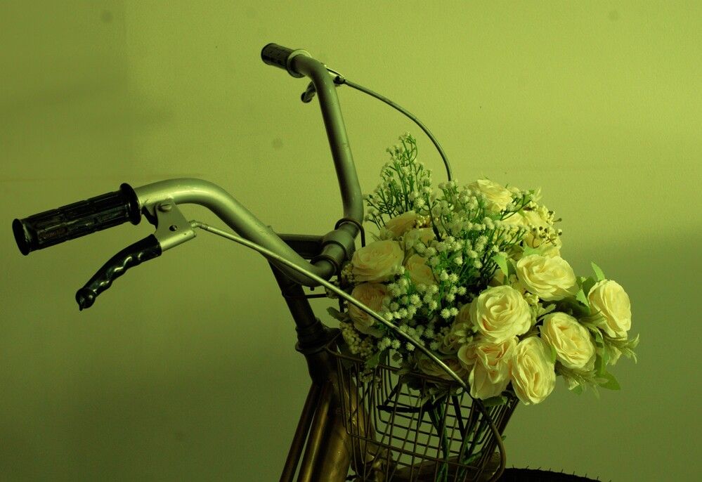 Photograph by Régis Santos