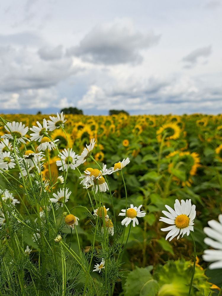 Photograph by Олеся Черкасская