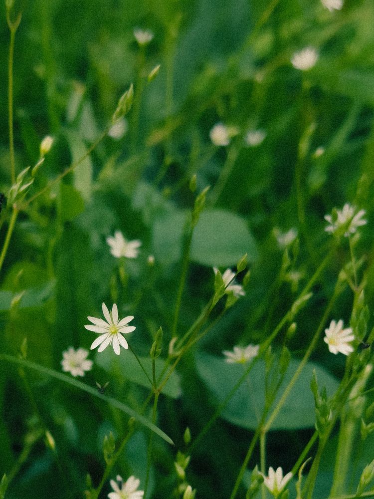 Photograph by Ляйсан Саляхиева