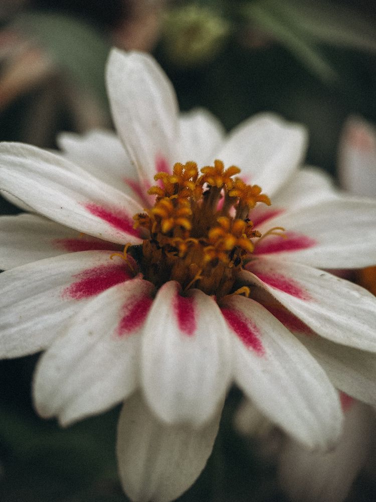 Photograph by Ляйсан Саляхиева