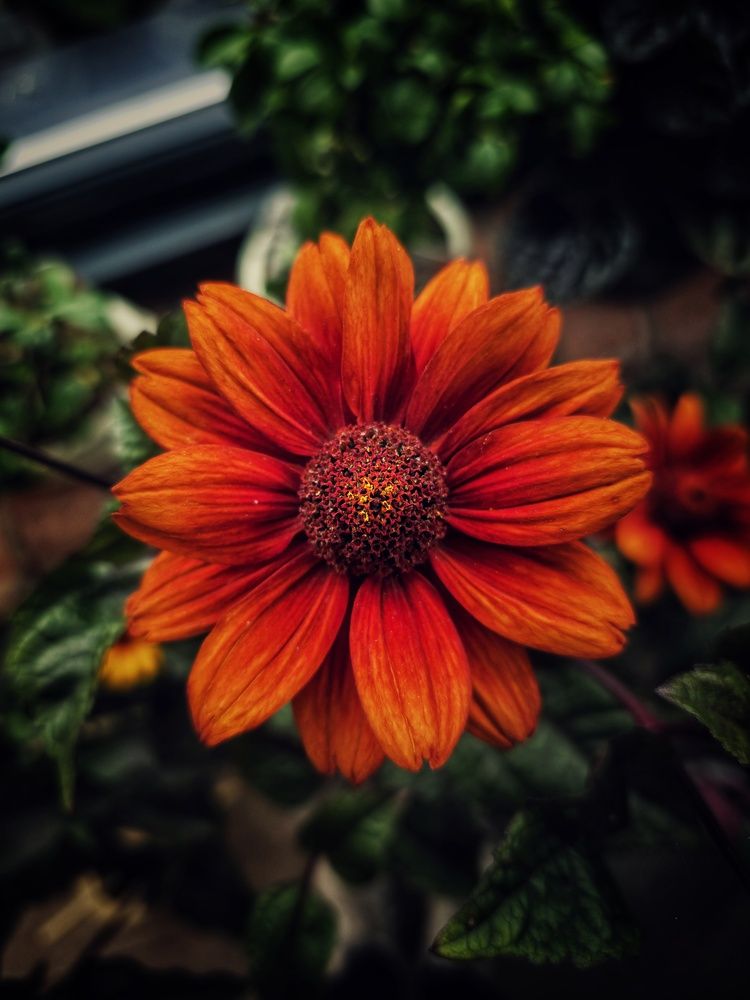 Photograph by Chinmaya Patil