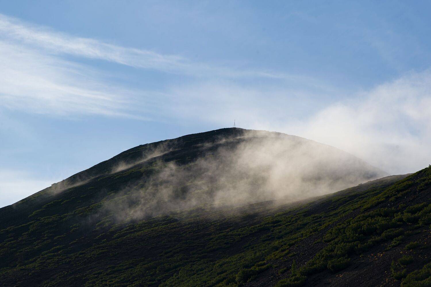 Photo #12473544