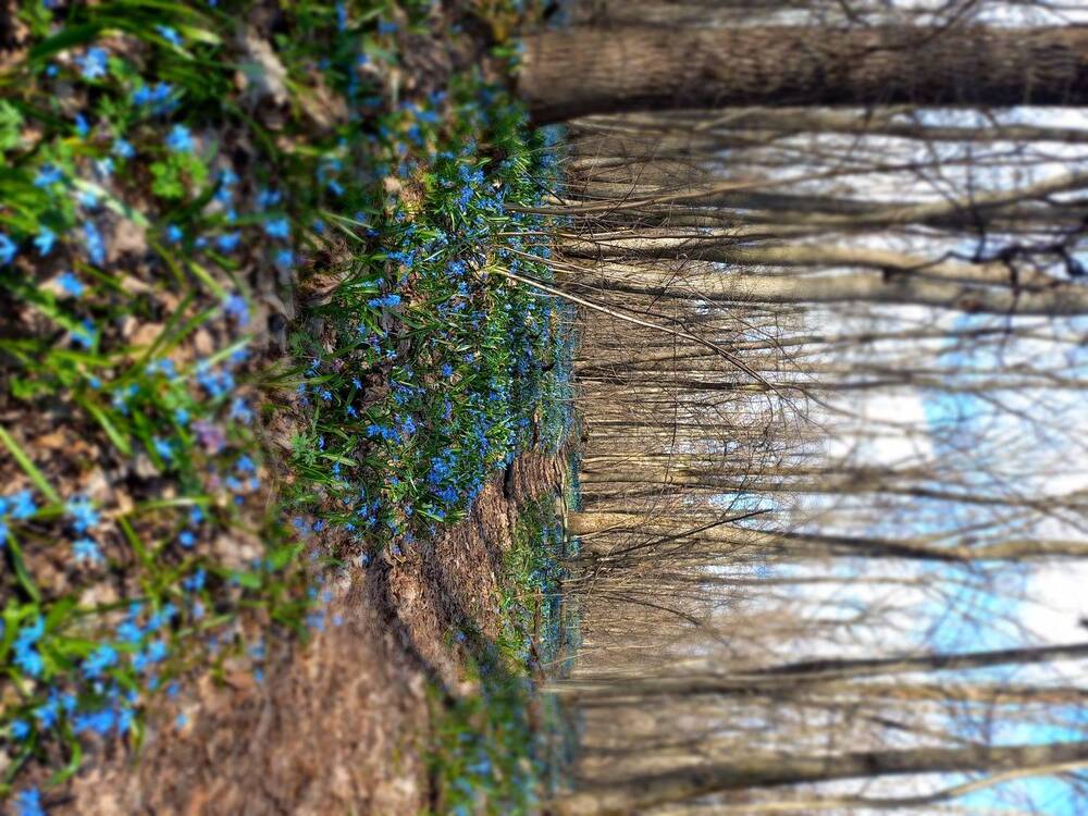 Photograph by Людмила Сотникова