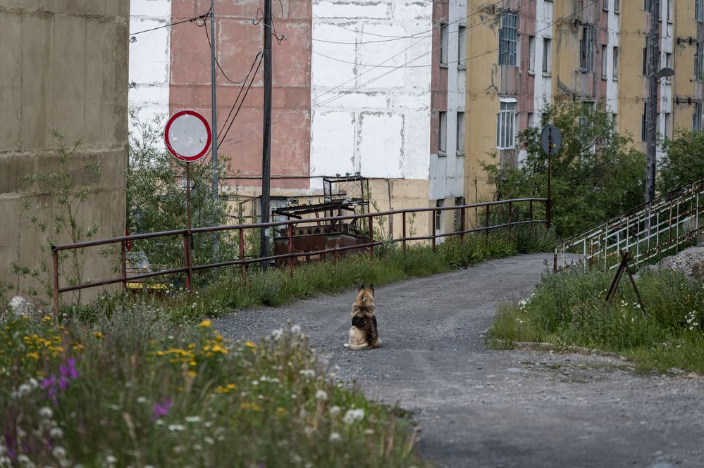 Photograph by Александр Шульга