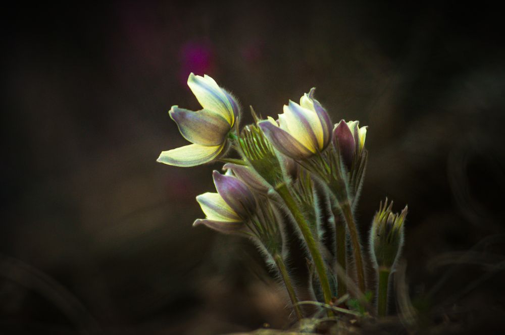 Photograph by Анастасия Сахаревич