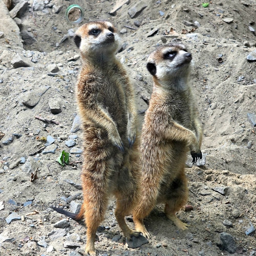 Photograph by Куделенко Оксана