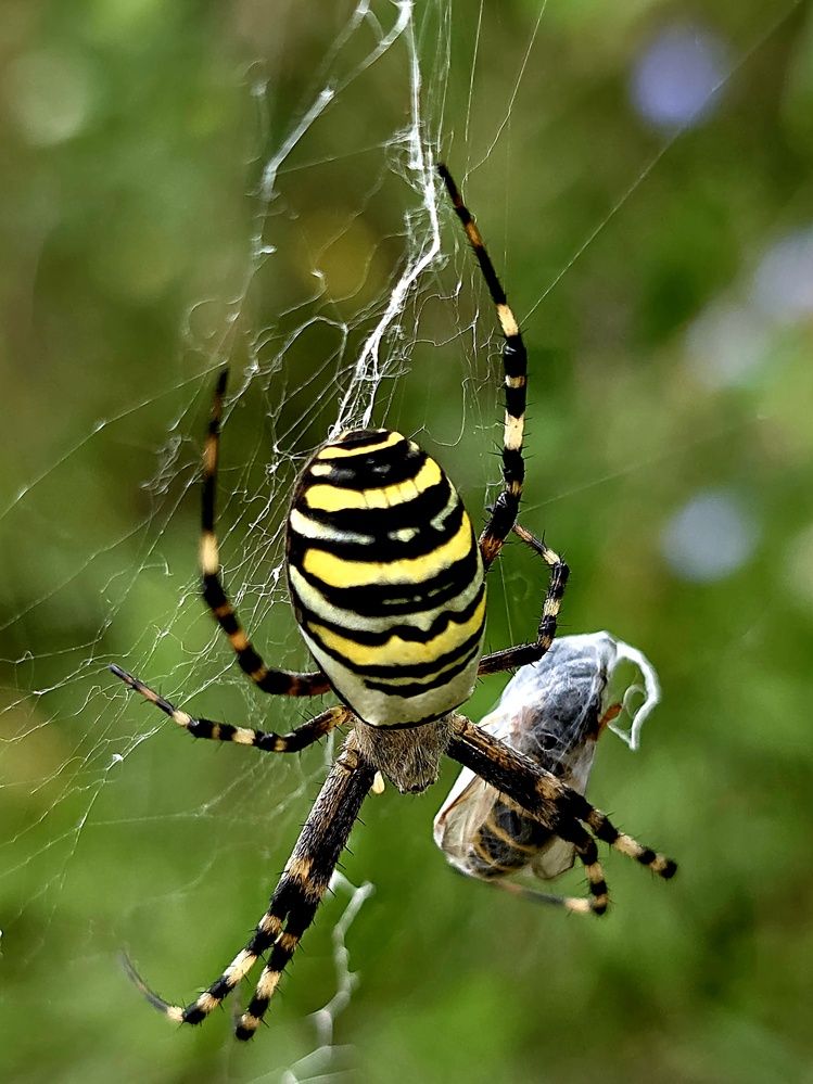 Photograph by Куделенко Оксана