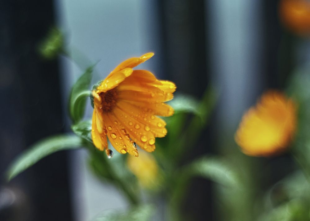 Photograph by Юлия Персинен