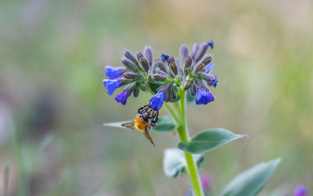 Photograph by Сергей Хранитель
