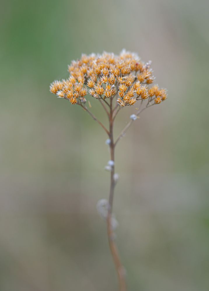 Photograph by Сергей Хранитель