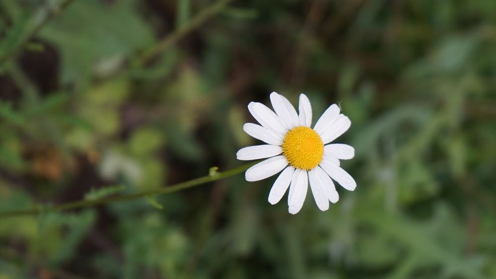 Photograph by Григоренко Семён