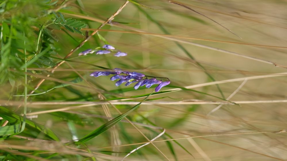 Photograph by Григоренко Семён