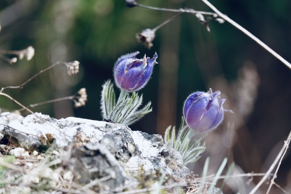 Photograph by Григоренко Семён