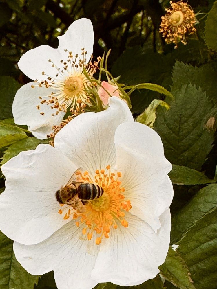 Фотография автора Светлана Герасимук