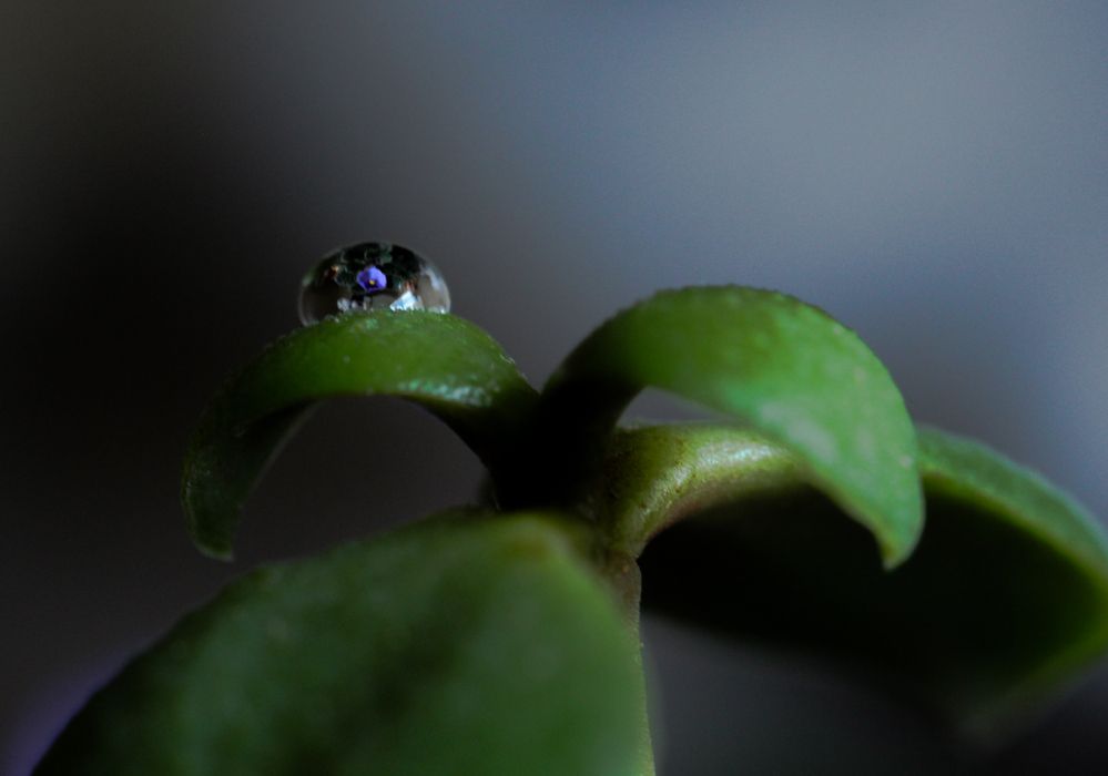 Photograph by Галина Чернякова