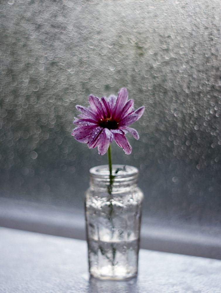 Photograph by Юлия Персинен