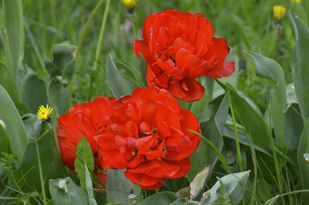 Фотография автора Антип