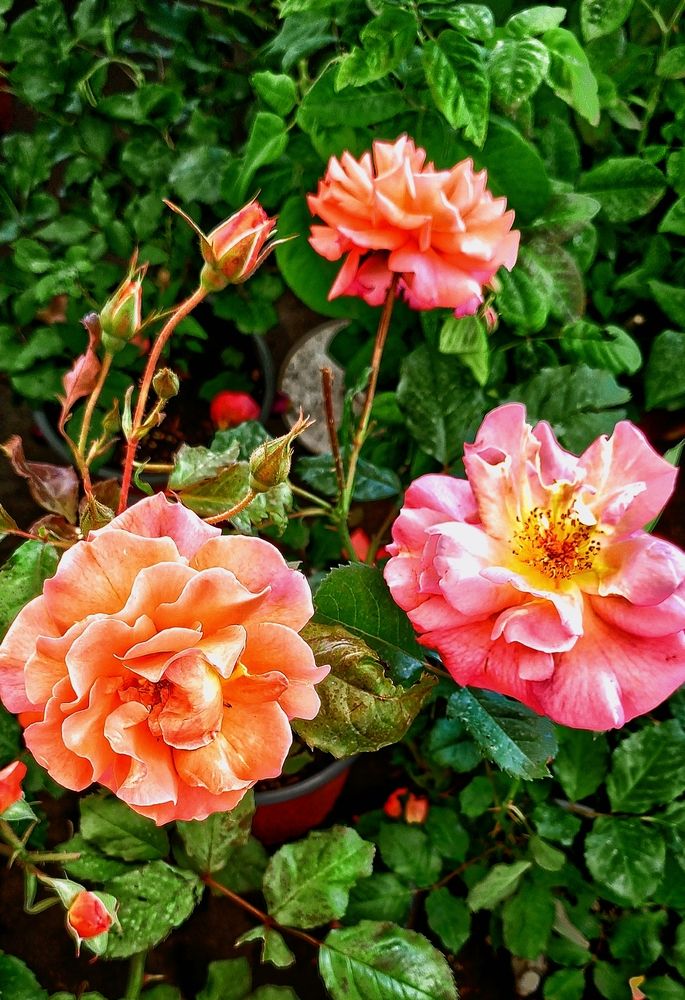 Photograph by Денис Умеренков