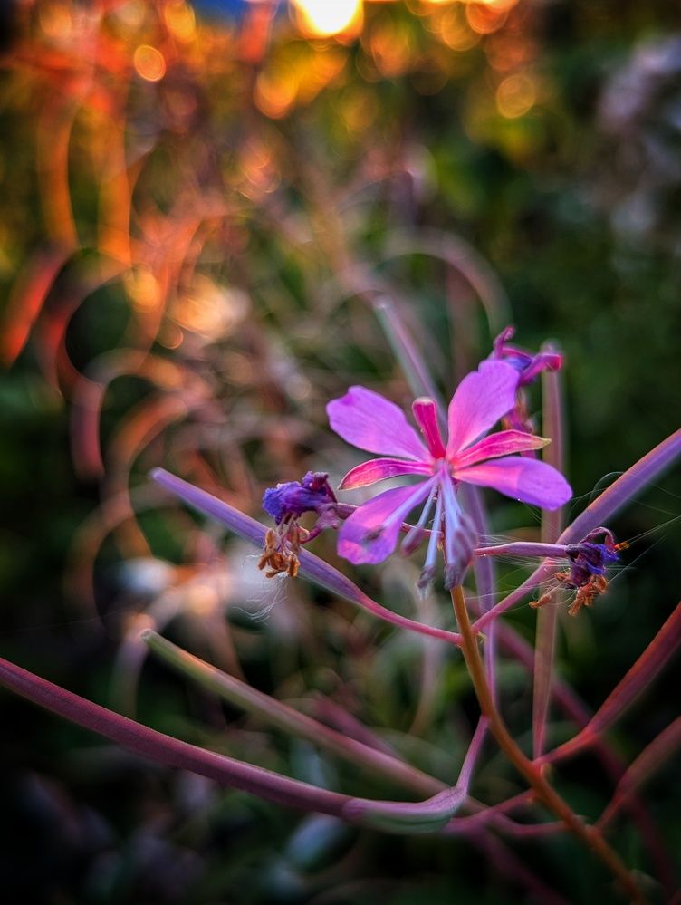 Photograph by Сергей Шевырин