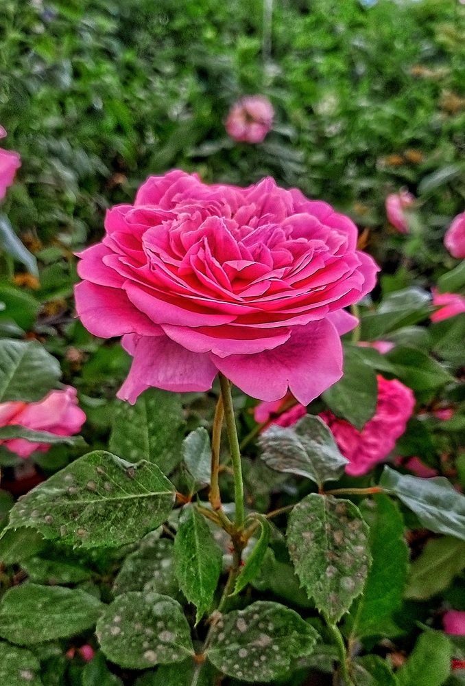 Photograph by Денис Умеренков